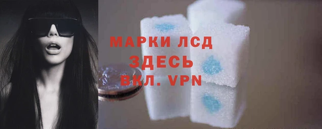 ГАЛЛЮЦИНОГЕННЫЕ ГРИБЫ Бугульма